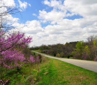 road scene